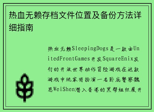 热血无赖存档文件位置及备份方法详细指南